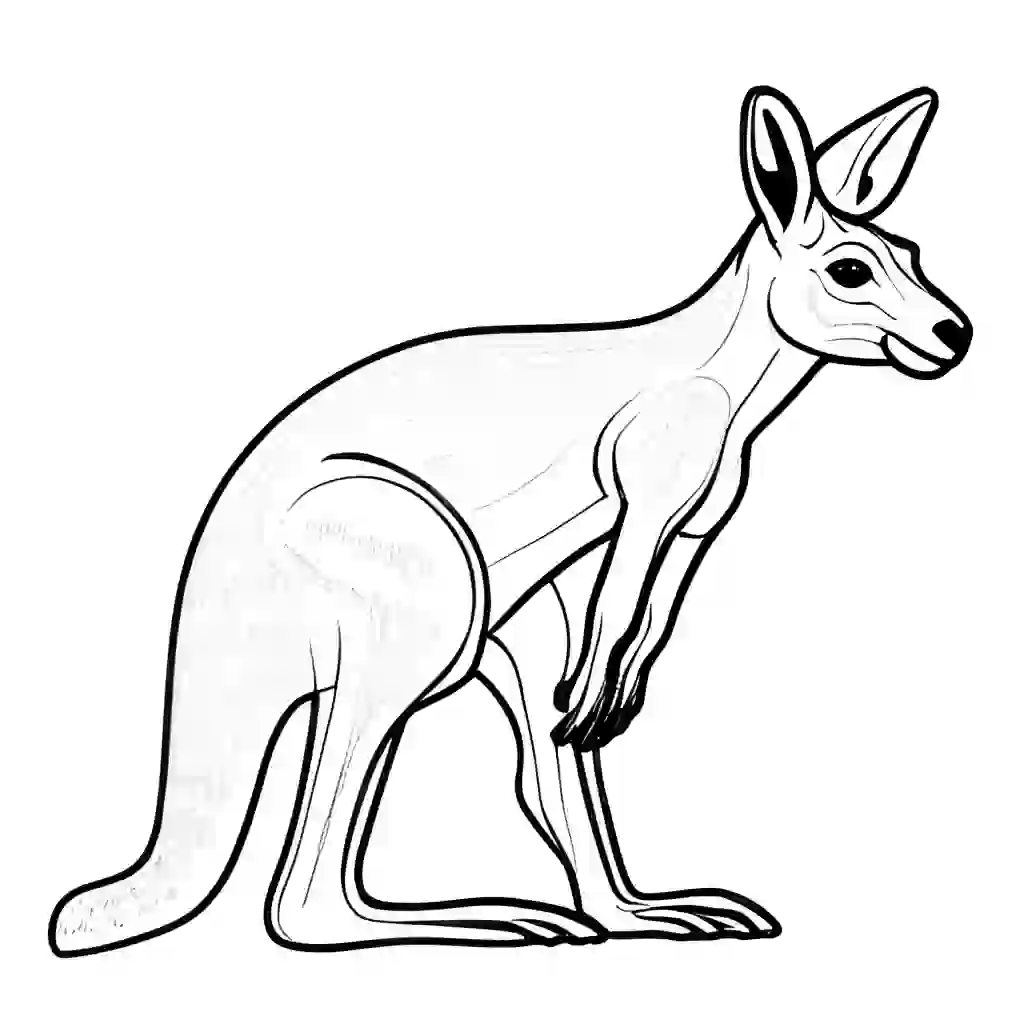 Kangaroos coloring pages